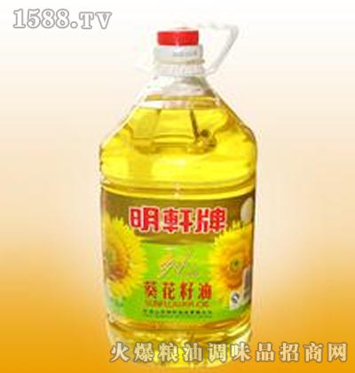 ��܎��������5L