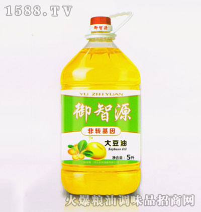 ����Դ����5L