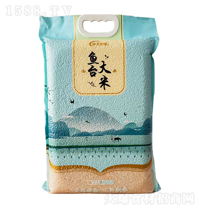 ���������~(y��)�_(t��i)���ס�5ǧ�ˡ�