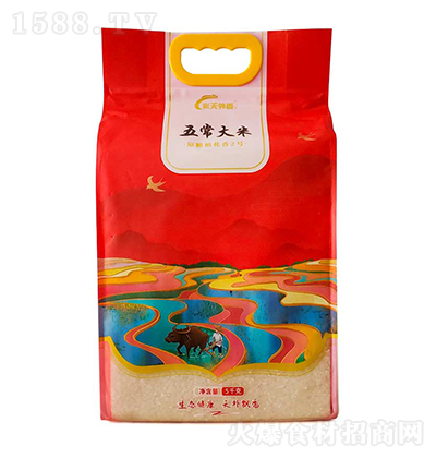 ���������峣���ס�5ǧ�ˡ�