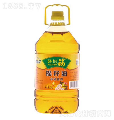 �����������͡�5L��