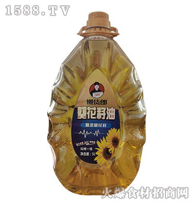 ��؛��-�������͡�5L��