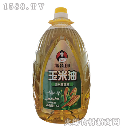 ��؛��-������ѿ�͡�5L��