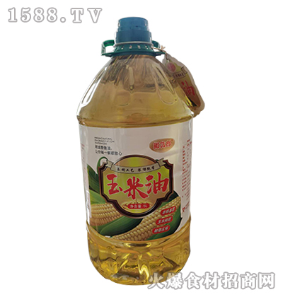 ��؛�������͡�5L��