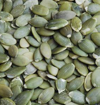 ��ζ�� �׹�����