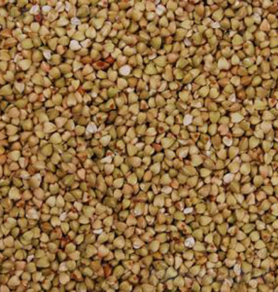 ��ζ�� �w����