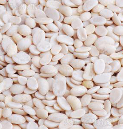 ��ζ�� ÓƤ��܊�װ�