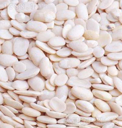 ��ζ�� ÓƤ�ձ��װ�