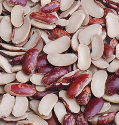 ��ζ�� �ϻ��|����