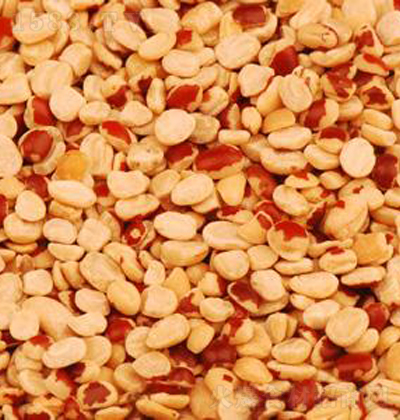 ��ζ�� ÓƤ�tС����