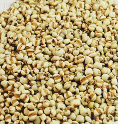 ��ζ�� ޲��