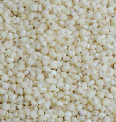 ��ζ�� ������