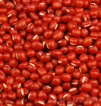 ��ζ�� �tС������t�ۣ�