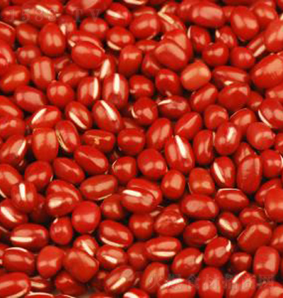 ��ζ�� �tС��������t��