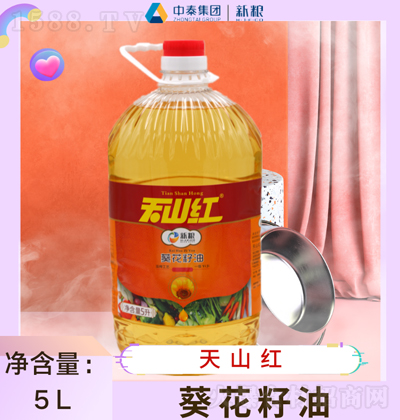 ��ɽ�t �������� 5L