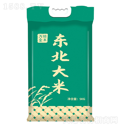 �f핽�� �|������ 5kg