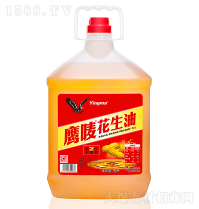 ���O �����͌��� ���퉺ե ʳ���� ������ ����� 5��