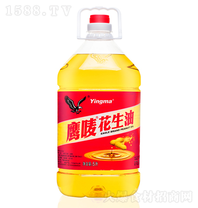 ���O ������ ���퉺ե ʳ���� ������ ����� 5��