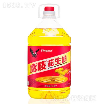 ���O ������ ���퉺ե ʳ���� ������ ����� 5.5��