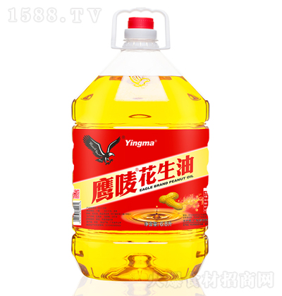 ���O ������ ���퉺ե ʳ���� ������ ����� 6.8��