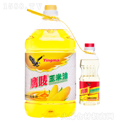 ���O ������5��+300�����{(di��o)���� ʳ���� ������ �����