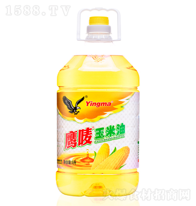 ���O ������ ���퉺ե ʳ���� ������ ����� 5��