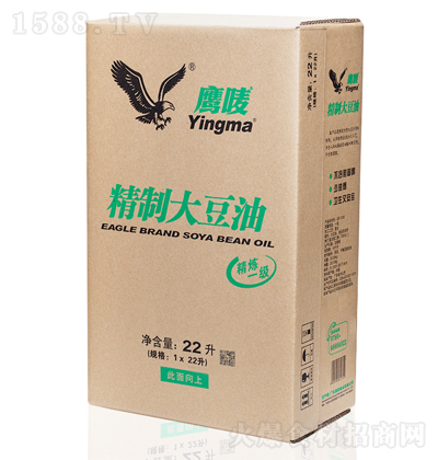 ���O ���� ���퉺ե ʳ���� ������ ����� 22��