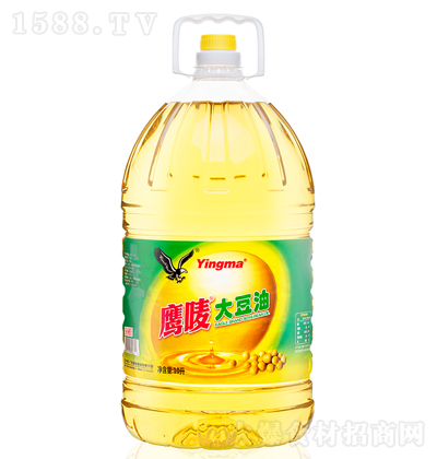 ���O ���� ���퉺ե ʳ���� ������ ����� 10��