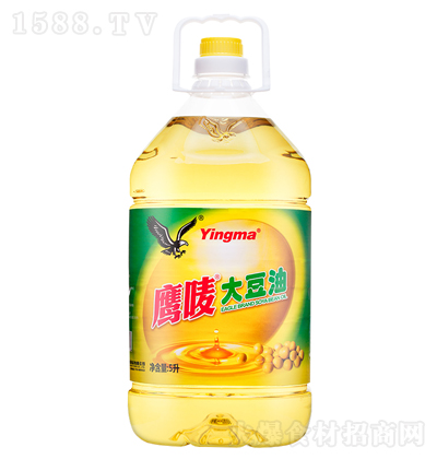 ���O ���� ���퉺ե ʳ���� ������ ����� 5��