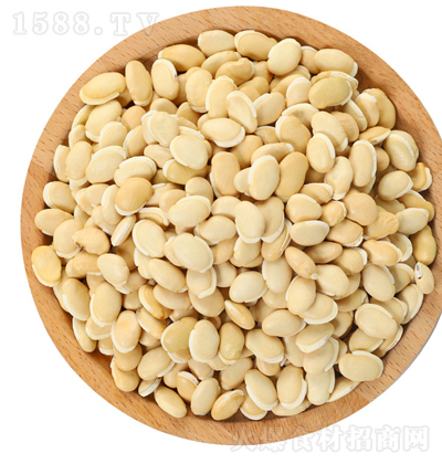 �Q��(l��i)�� �ױⶹ 500��