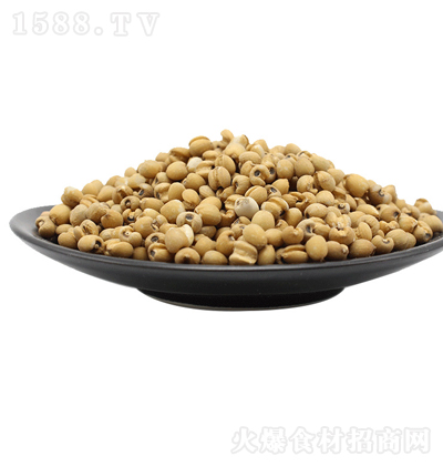 �Q���� ��޲�� 500��