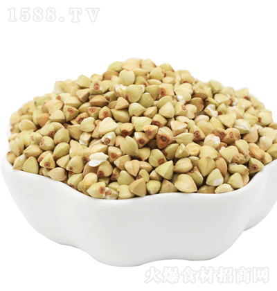 �Q���� �w���� 500��