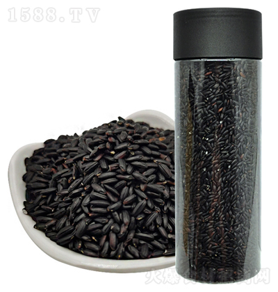 �Gɫ�S�� ���׬F(xi��n)ĥ���׺�����500�˰��b����s�Z�ּZ�Z���r(n��ng)�a(ch��n)Ʒ