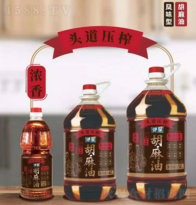 ���� �^�����������