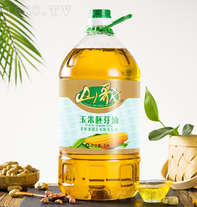 ɽ�� ������ѿ�� 5��