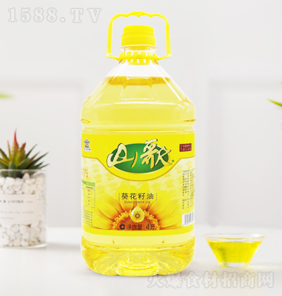 ɽ�� �������� 4��