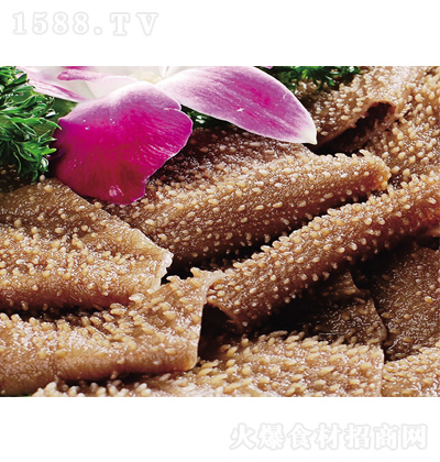 �t��ʳƷ ë��