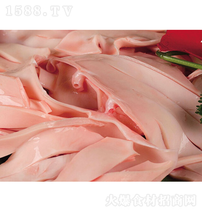 �t��ʳƷ �i�S��