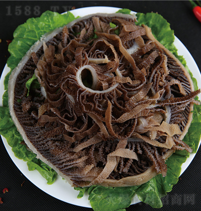 �ؑcС����(d��ng) ˬ���ǧ�Ӷ�