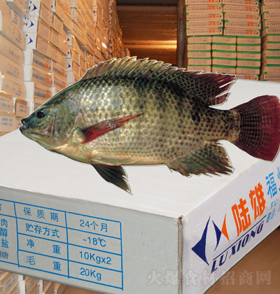 ��� �_���~�~�� 20kg