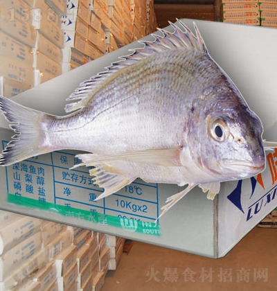 ��� �~���~�~�� 20kg