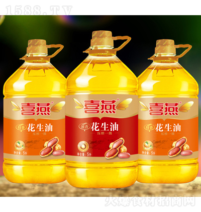 ϲ�� ������ 5��