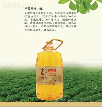 ������ ���y(t��ng)Сե������