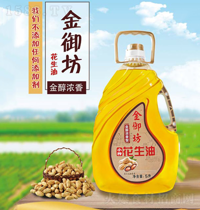 ������ ������ �𴼝����� 5��