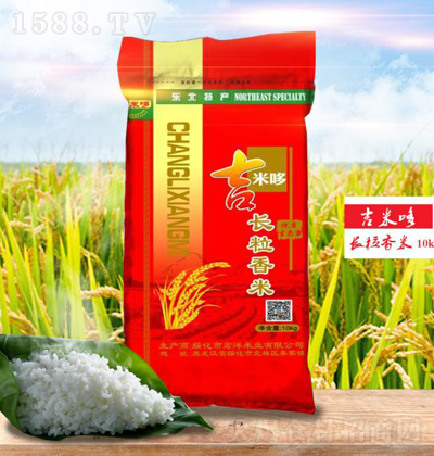 ���׶� �L�����ף��t�� 10kg