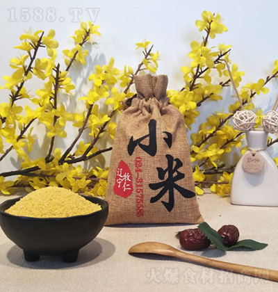 ���� �X��С��