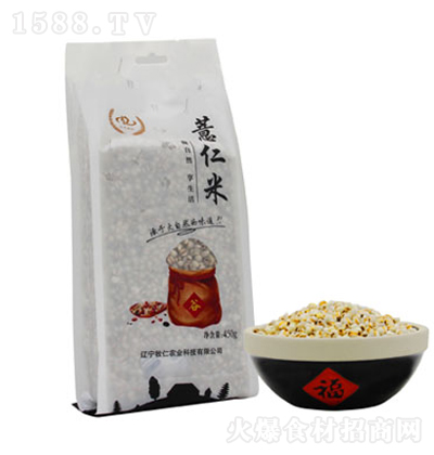 ���� ޲����(�u)