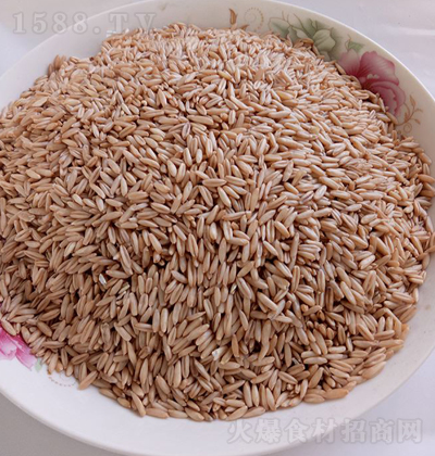 �S���s�Z ������