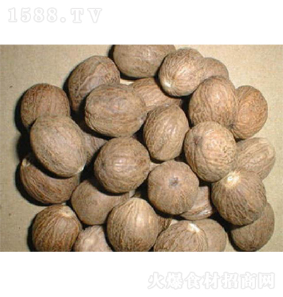 �쿵 �ⶹޢ �N���{(di��o)ζ�� �{(di��o)ζƷ ������{(di��o)ζ�� ������