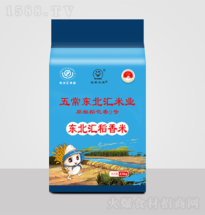 �|���R ԭ�Z������2̖ �峣����